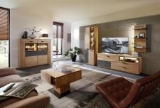 Obývací a jídelní nábytek LAUSANNE_sestava 45 65 HH 91 + highboard 22 + konferenční stůl 20 65 HH 02_denní pohled_obr. 3 Obývací a jídelní nábytek LAUSANNE_sestava 45 65 HH 91 + highboard 22 + konferenční stůl 20 65 HH 02_denní pohled_obr. 3